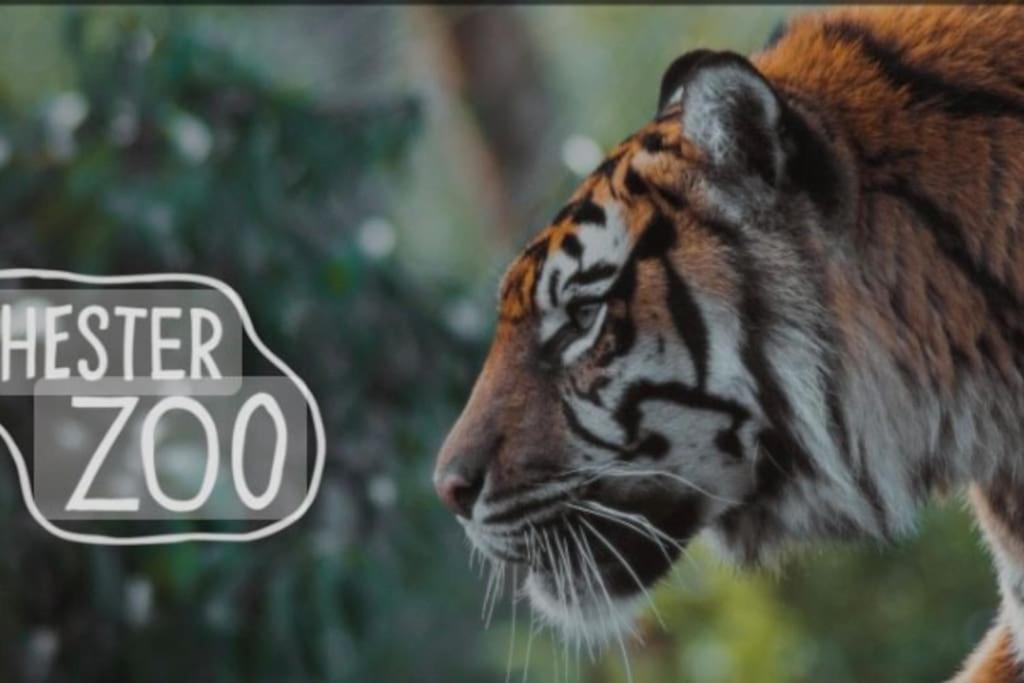 The Beautiful Bungalow Amazing Location For Chester & Zoo Wervin Exterior foto